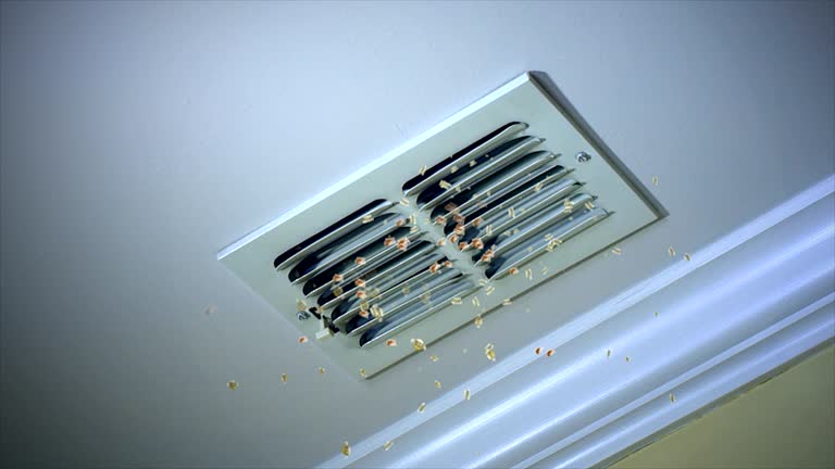 Best Commercial Air Duct Cleaning  in Ohatchee, AL