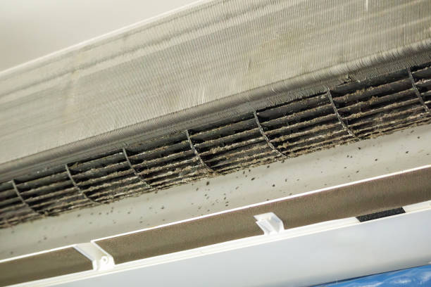 Best Emergency Air Duct Cleaning  in Ohatchee, AL